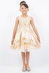 Girls Floral Embroidery Cutout Overlay Flower Girl Dress 2-16